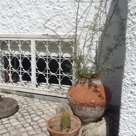 컨트리하우스 Casa Dos Cedros *